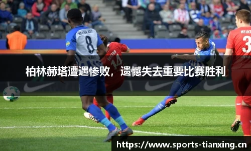 天行体育平台