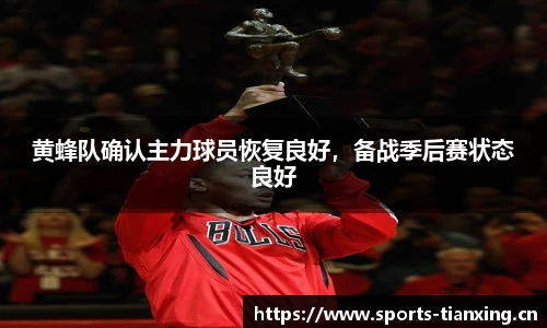 黄蜂队确认主力球员恢复良好，备战季后赛状态良好