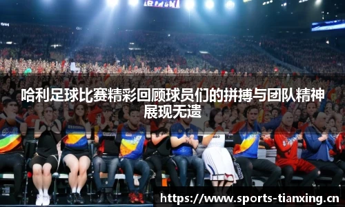 哈利足球比赛精彩回顾球员们的拼搏与团队精神展现无遗