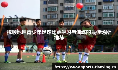 抚顺地区青少年足球比赛学习与训练的最佳场所推荐