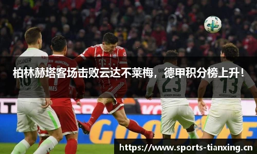 天行体育官网