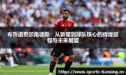 天行体育官网