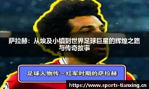 天行体育平台